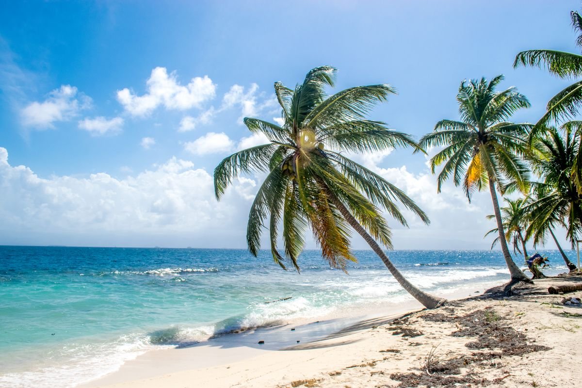 Beachfront resort in the morning — The Baseline